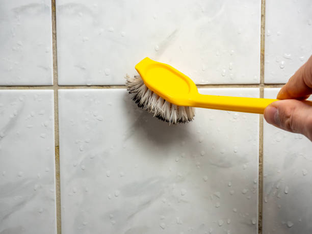 Best Preventive Mold Services in Newville, PA